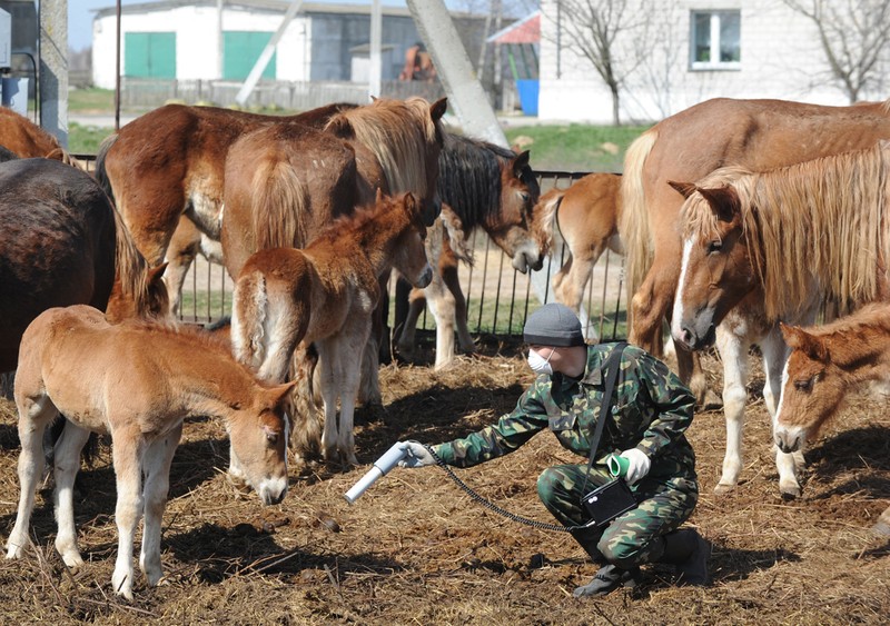 Tan tich 30 nam cua tham hoa hat nhan Chernobyl-Hinh-9